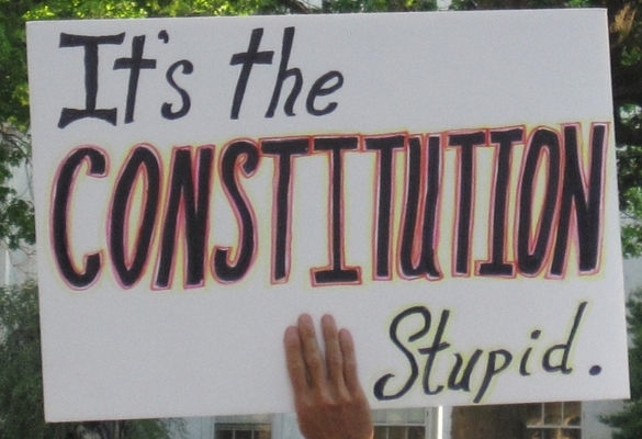 constitutionstupid